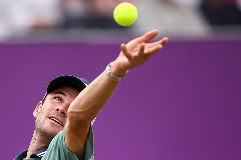 持鲜活的吸 持鲜活的吸